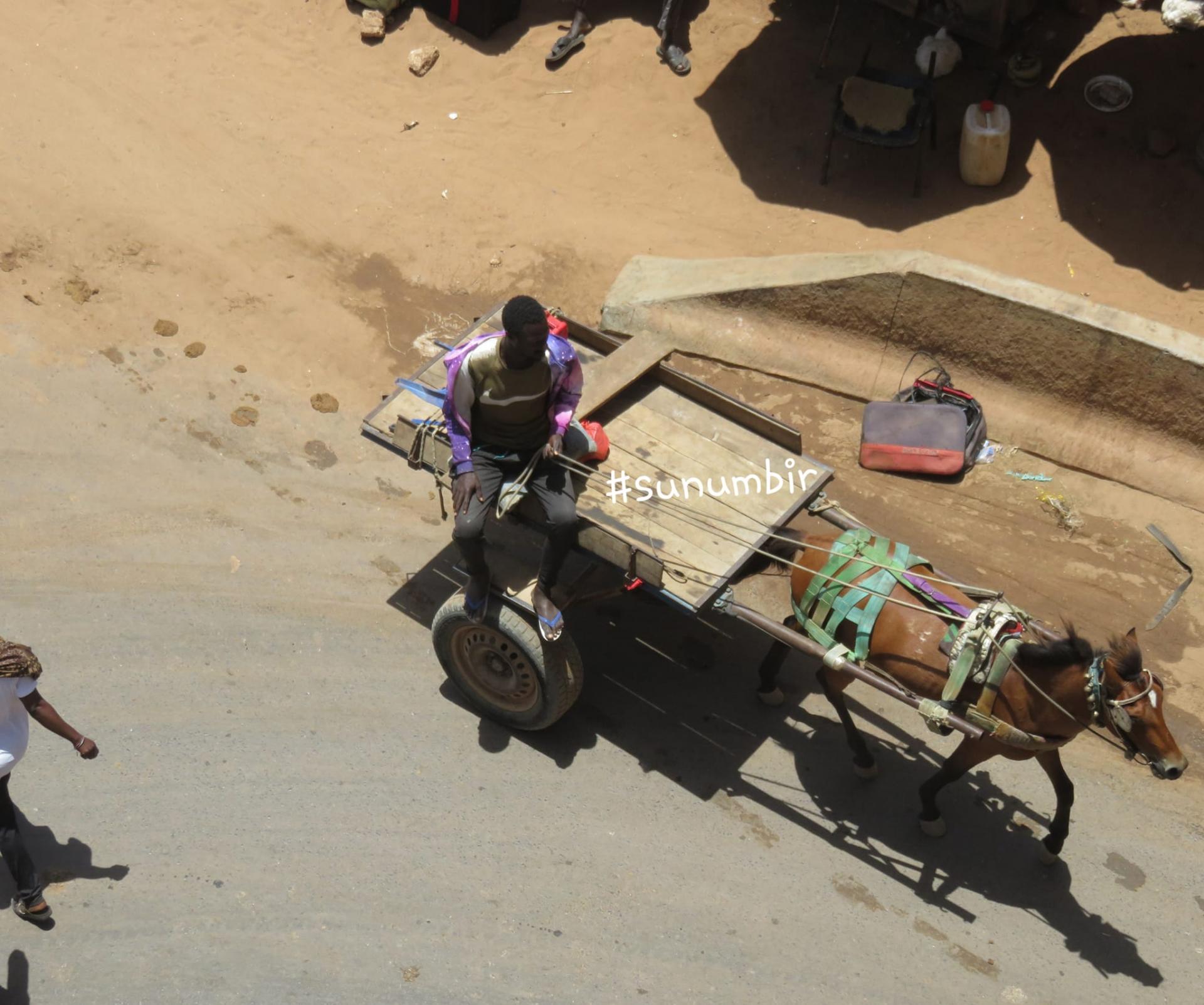 280060157 4991584264222107 6926537292590858047 n