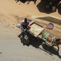 280060157 4991584264222107 6926537292590858047 n