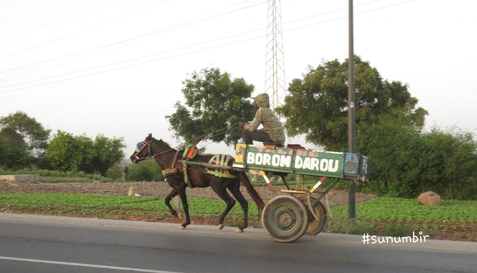 280087800 4998446860202514 920213482410938432 n