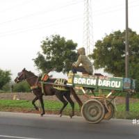 280087800 4998446860202514 920213482410938432 n