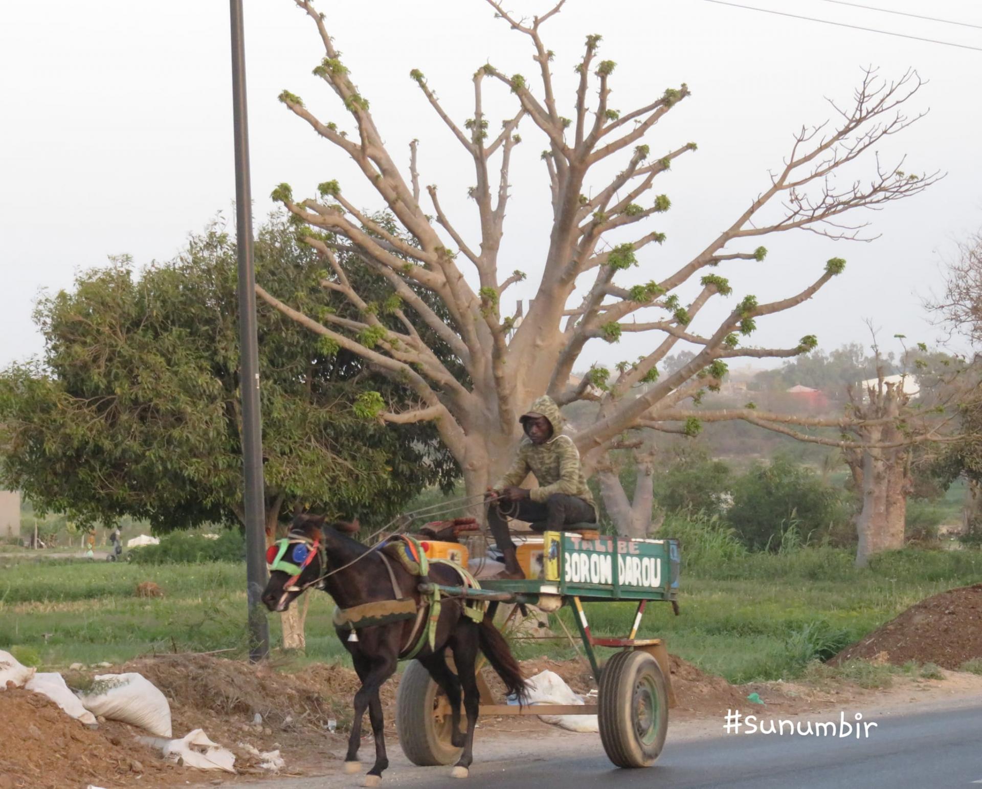 280102854 4998446390202561 199467629345318261 n