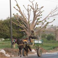 280102854 4998446390202561 199467629345318261 n