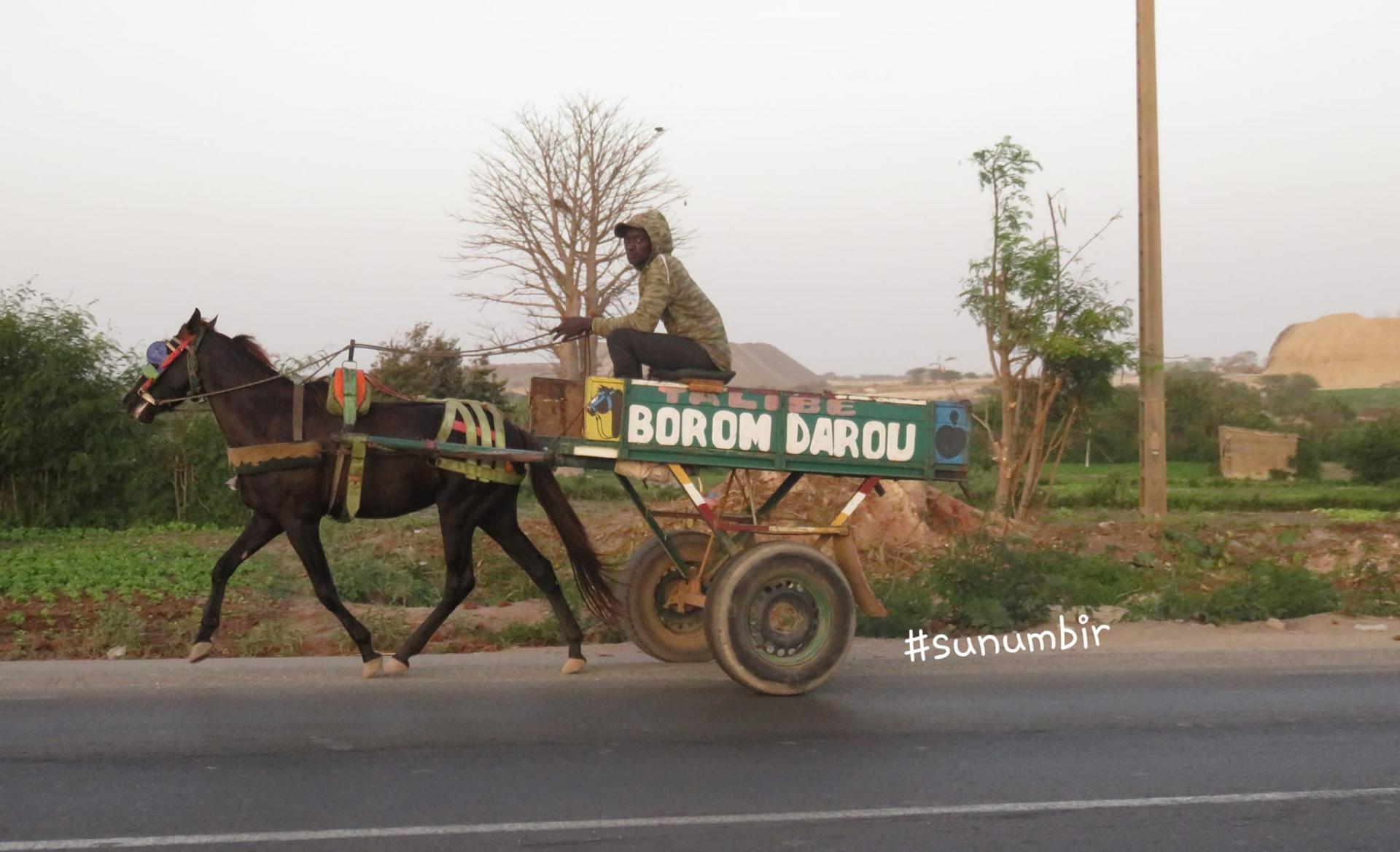 280115455 4998445940202606 5663326895149104542 n