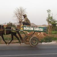 280115455 4998445940202606 5663326895149104542 n