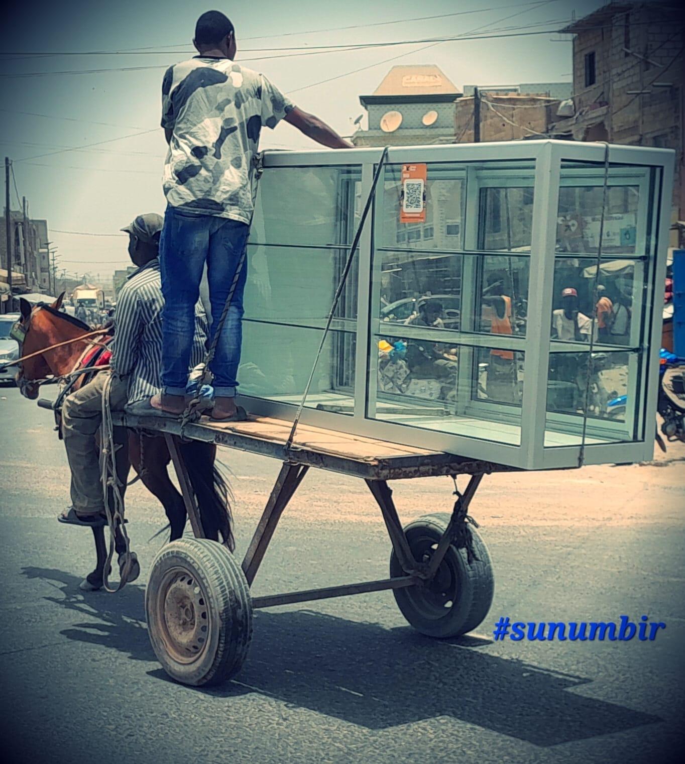 441026643 7635874649783817 4949182382274308614 n