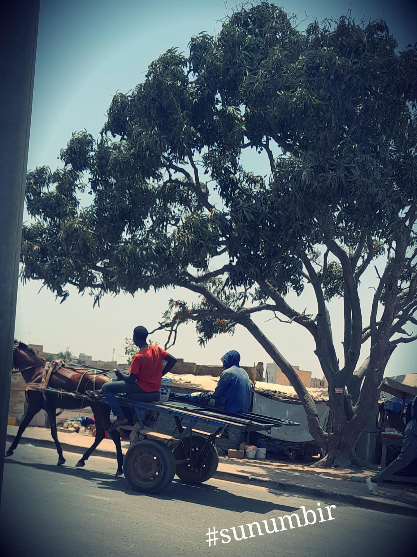 441213047 873036931506034 7389414774648844923 n