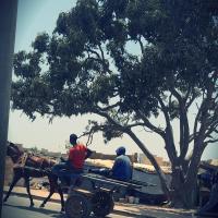 441213047 873036931506034 7389414774648844923 n