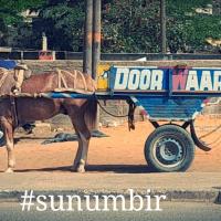 441276506 874757081334019 1630725008928501762 n