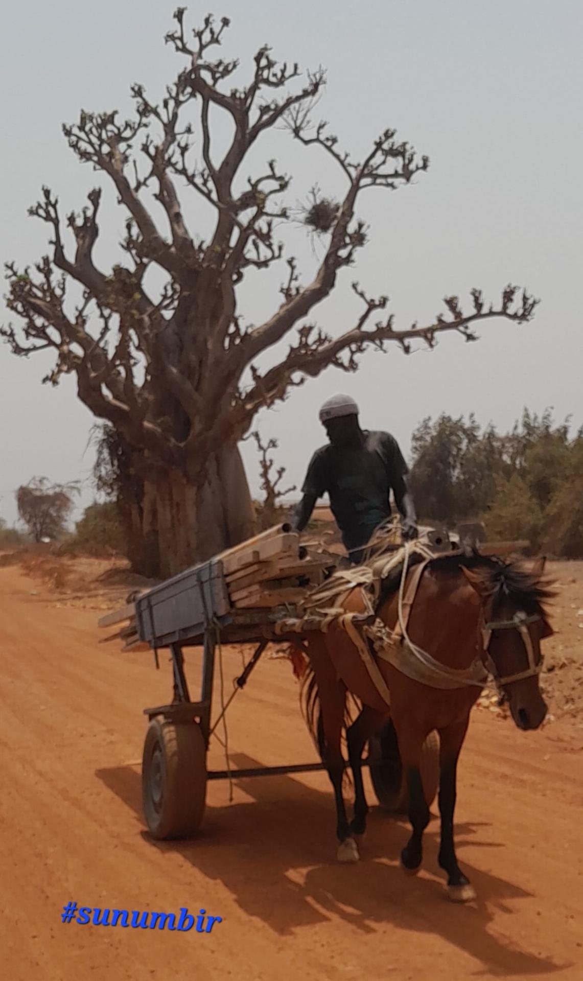 441300431 7647119125326036 1396959990834557649 n