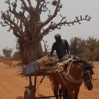 441300431 7647119125326036 1396959990834557649 n