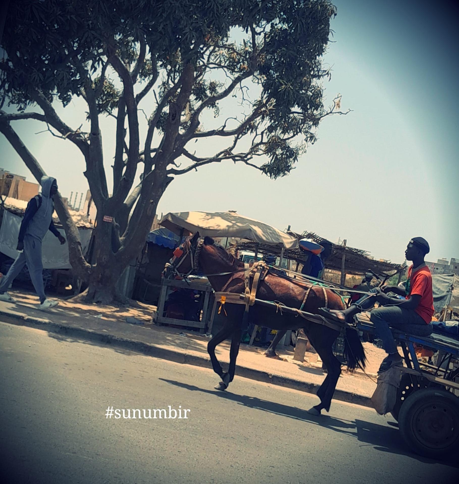 441318299 873036824839378 4391334744801141380 n