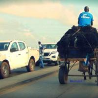 462637249 9355888201095132 8144632954780526776 n