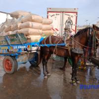 471630066 9068223379882263 6408226599022078820 n