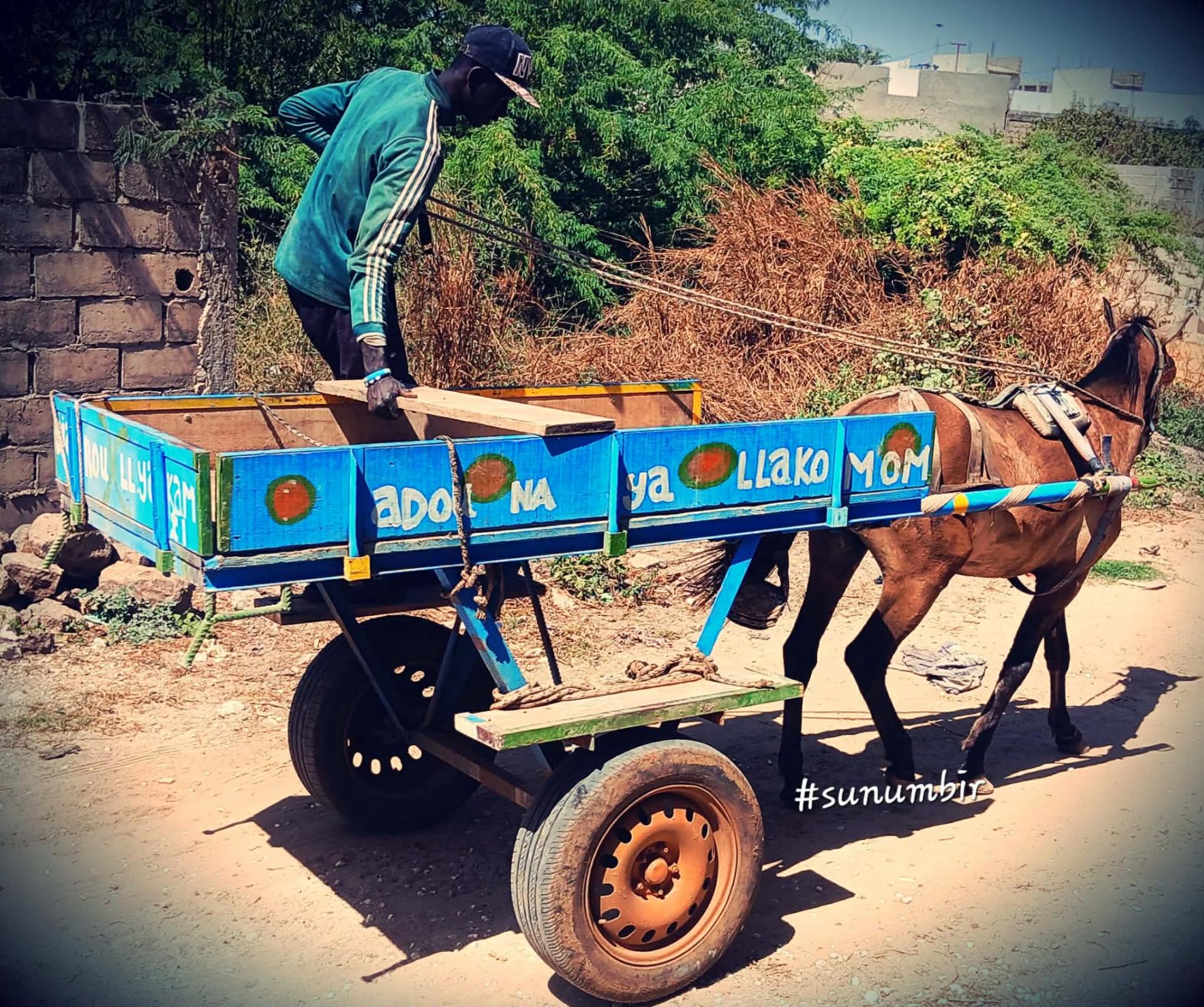 636027185 1399664778078460 6754886140059638510 n