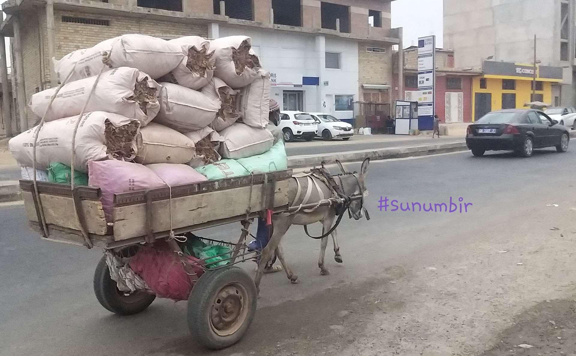 Copie 0 20220109 114823