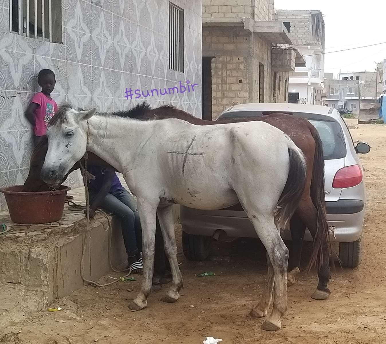 Copie 0 20220109 115905