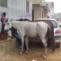 Copie 0 20220109 115905