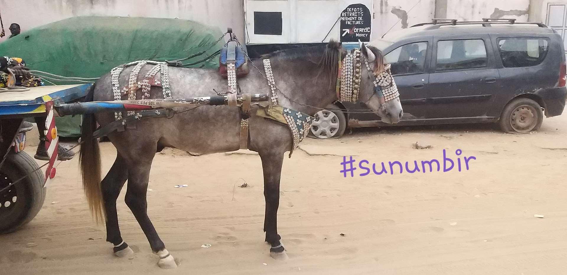 Copie 0 20220109 164556