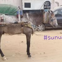 Copie 0 20220109 164556