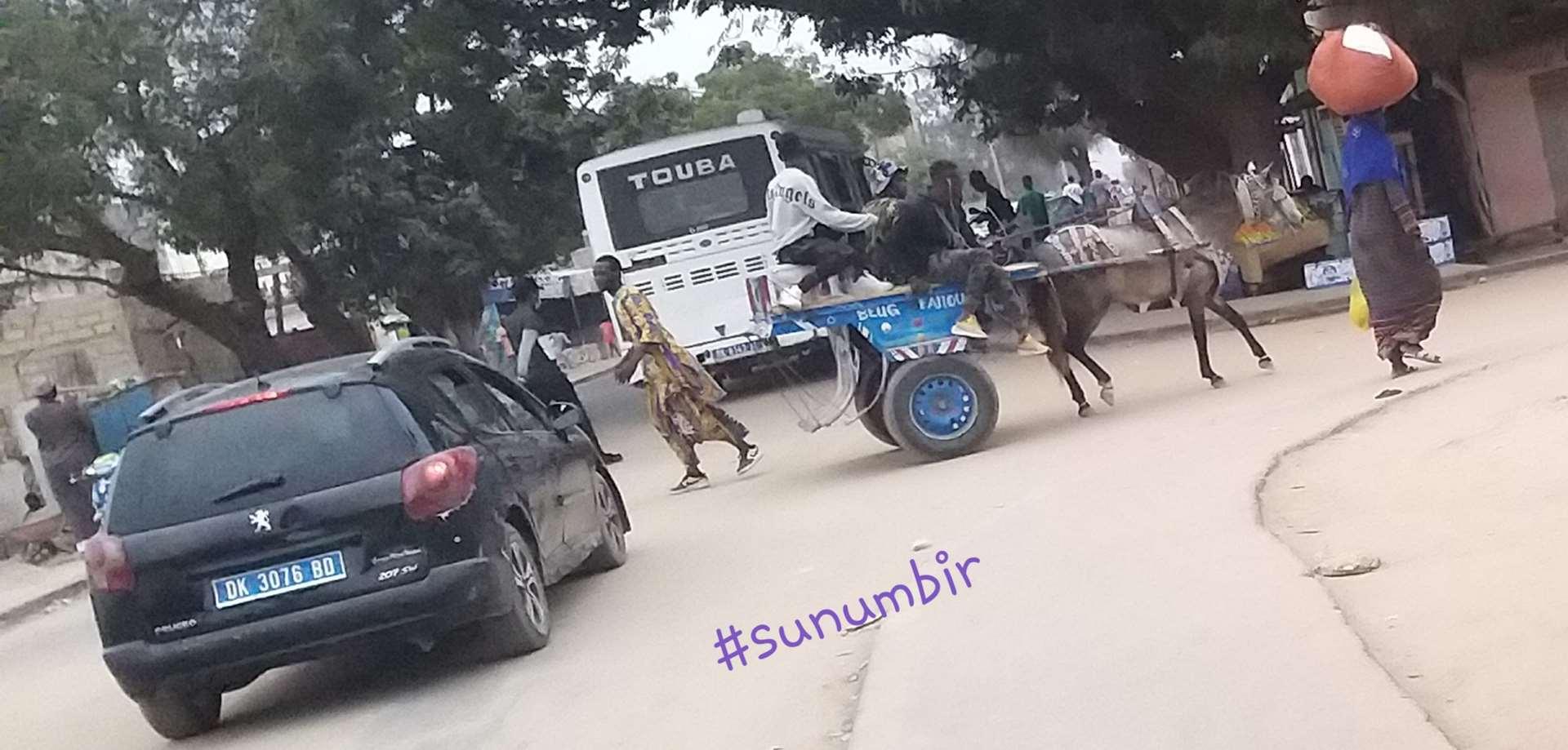 Copie 0 20220109 165055