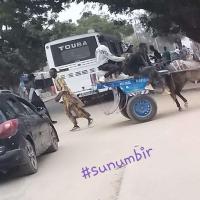 Copie 0 20220109 165055