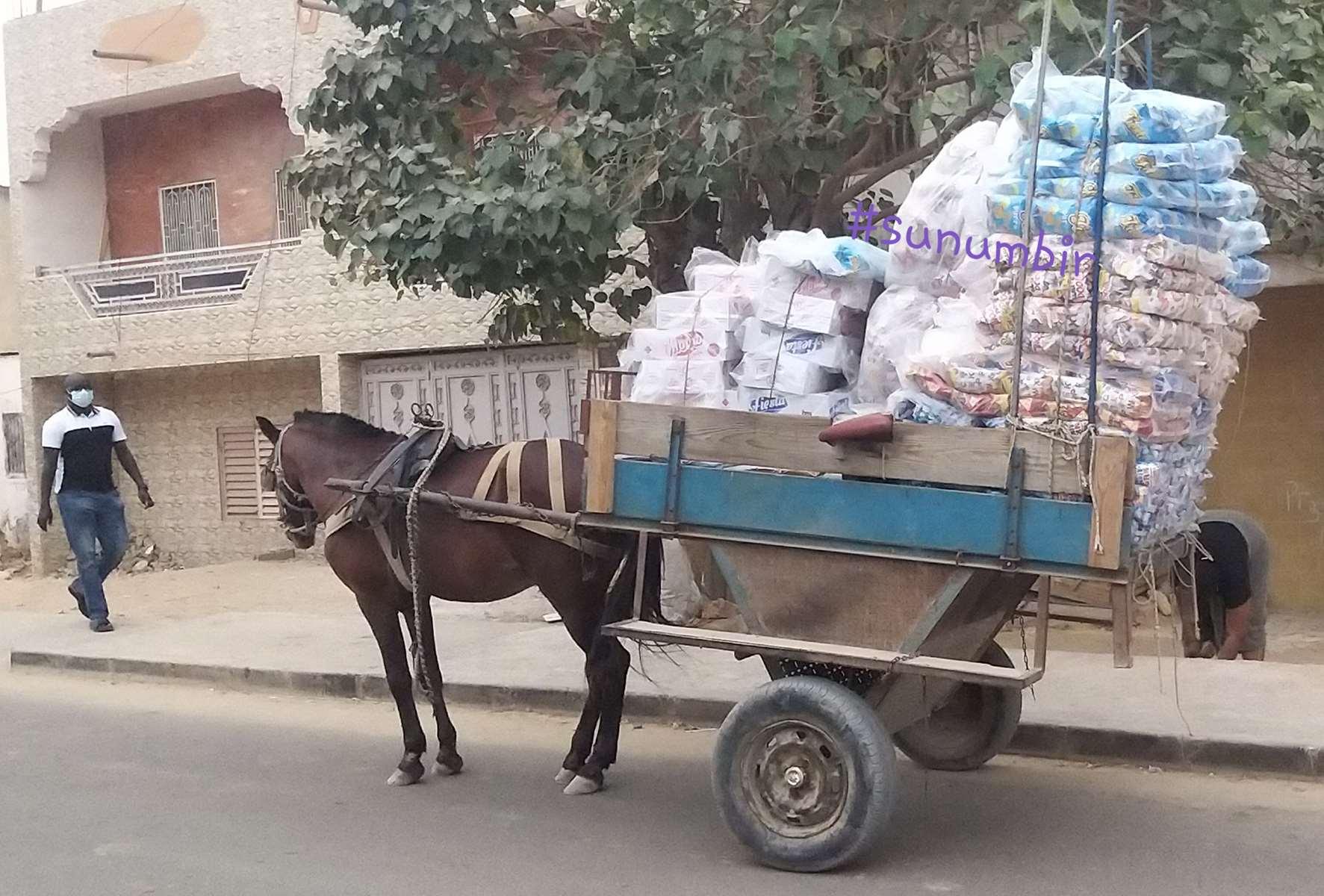 Copie 0 20220109 165158