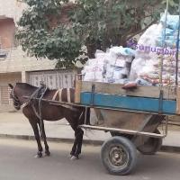 Copie 0 20220109 165158