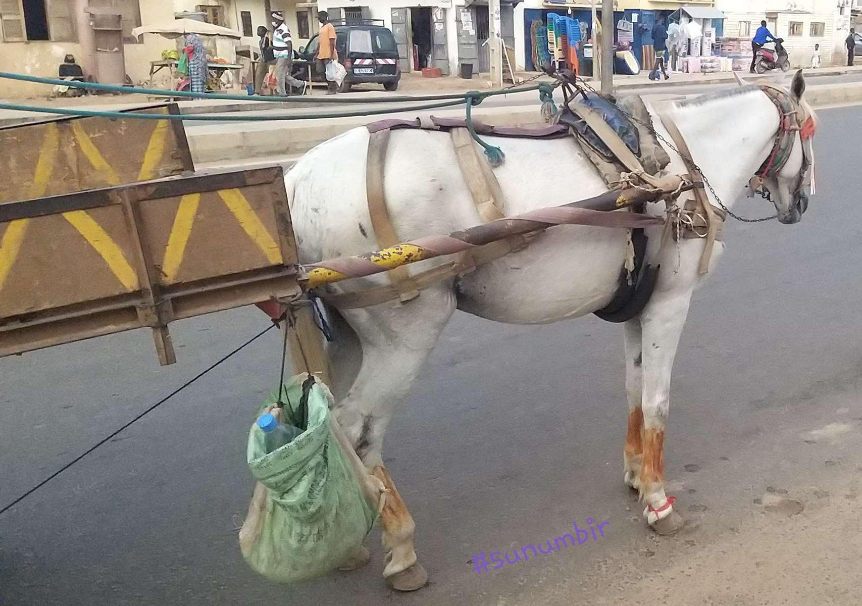 Copie 0 20220112 185138