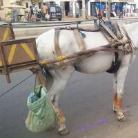 Copie 0 20220112 185138